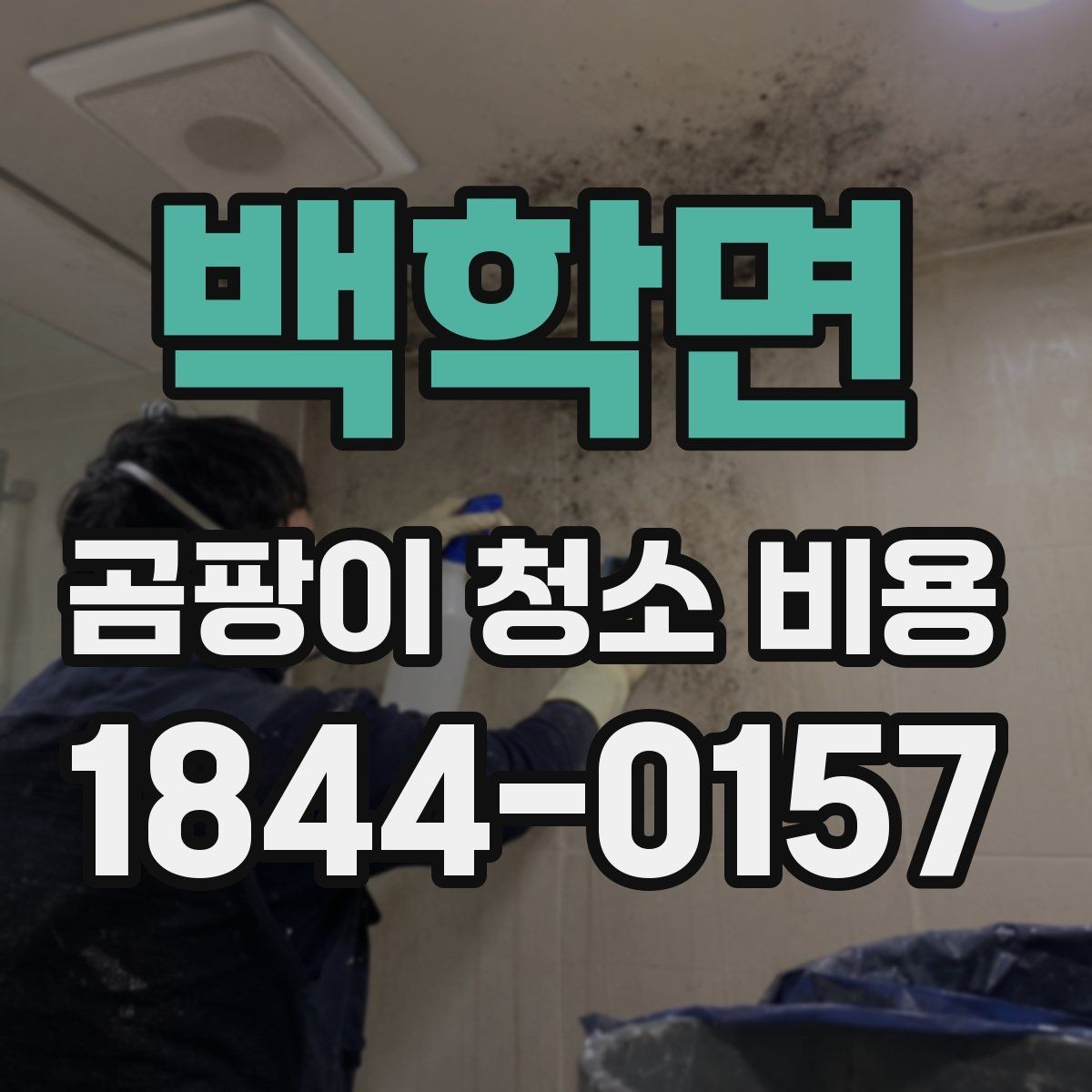 백학면 곰팡이 청소 비용 문의 전에 살펴볼 관리 방식