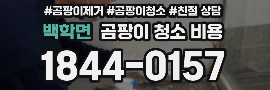 백학면 곰팡이 청소 비용