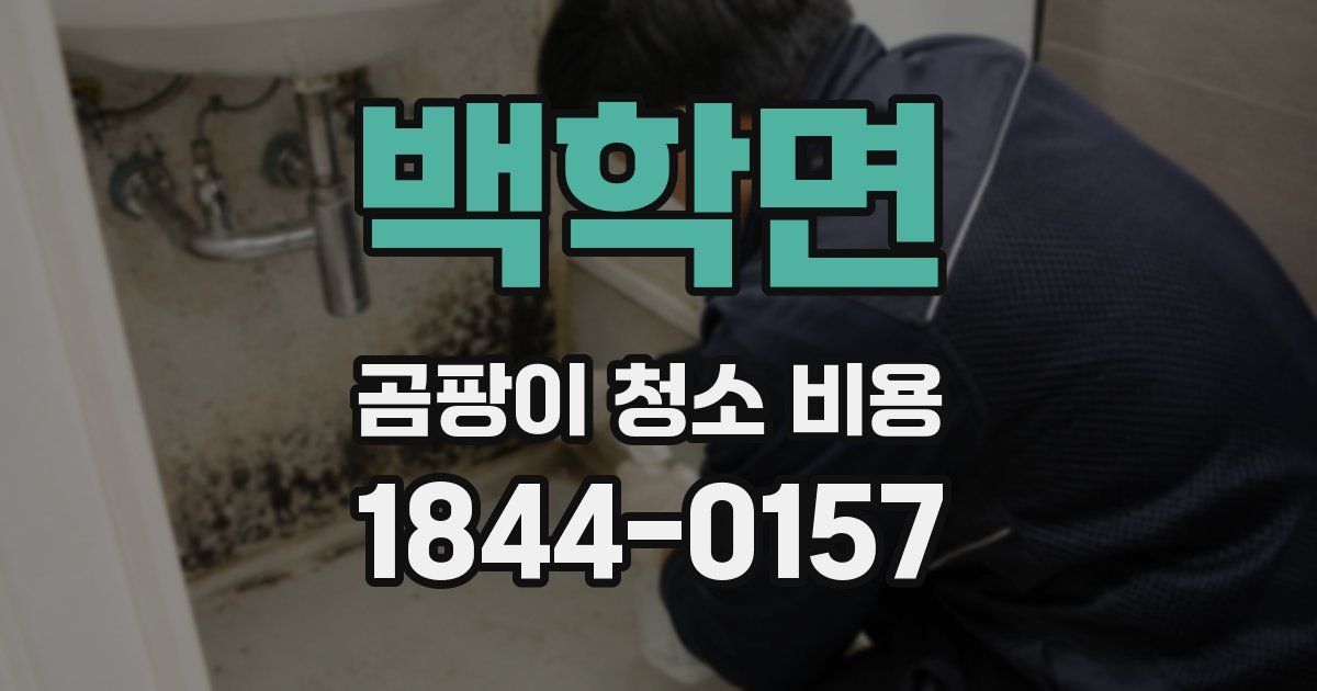 백학면 곰팡이 청소 비용