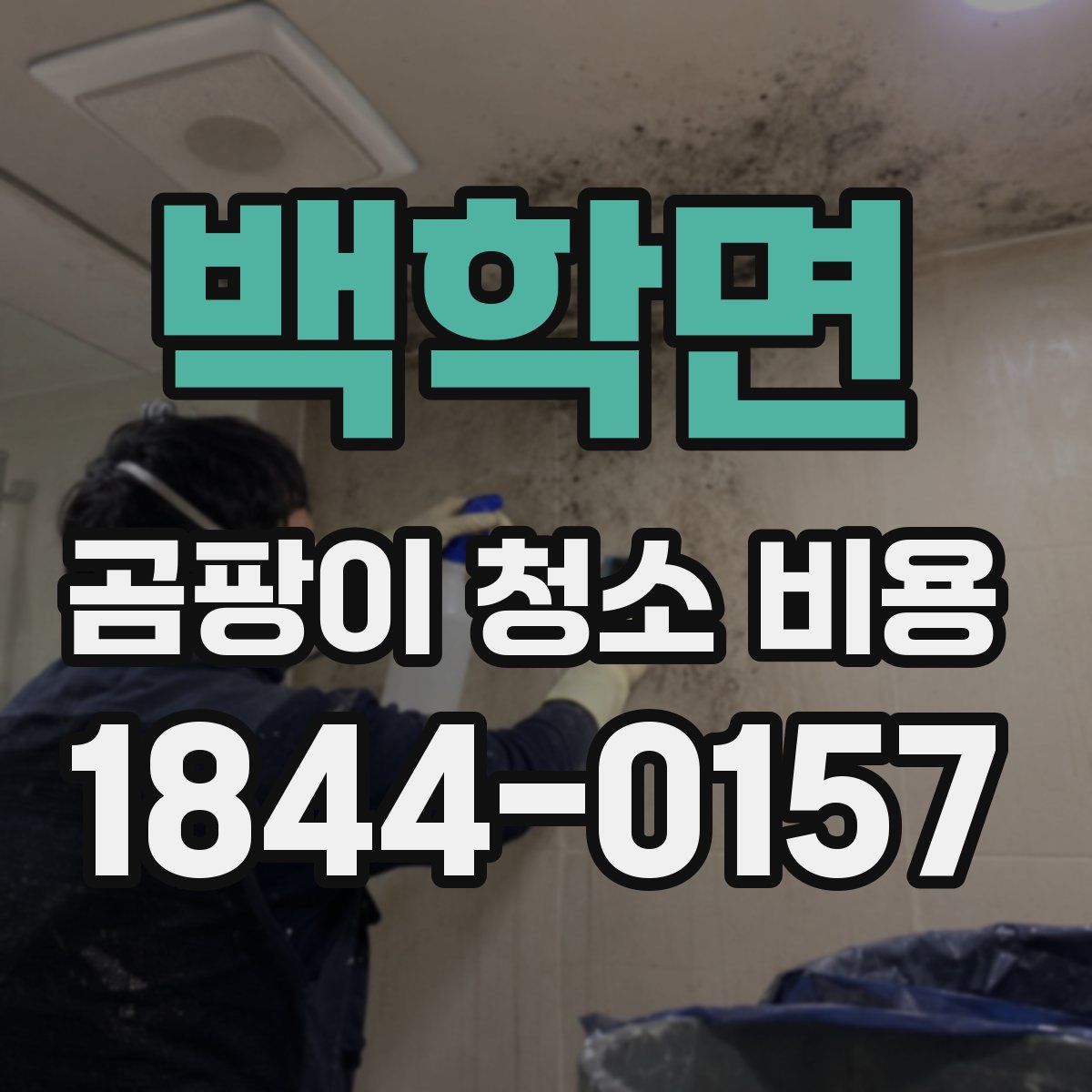 백학면 곰팡이 청소 비용