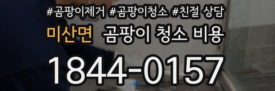미산면 곰팡이 청소 비용