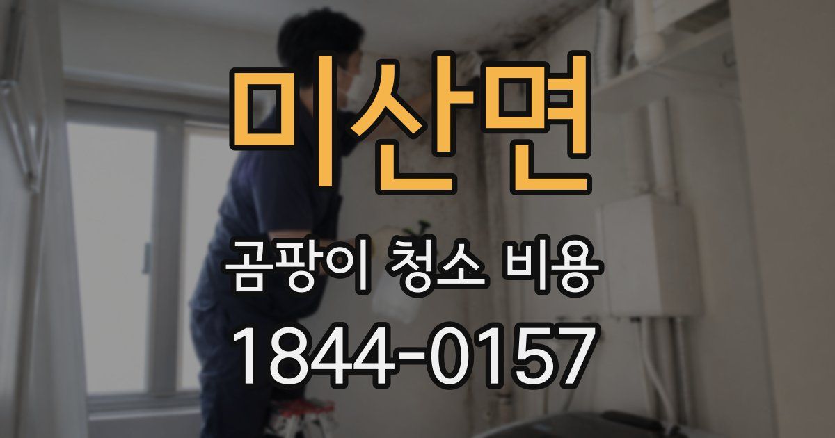 미산면 곰팡이 청소 비용