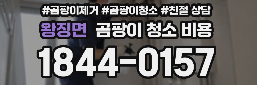 왕징면 곰팡이 청소 비용