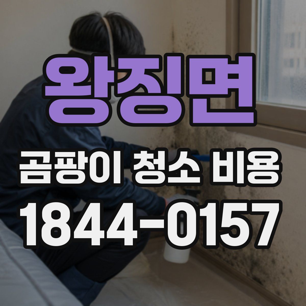 왕징면 곰팡이 청소 비용