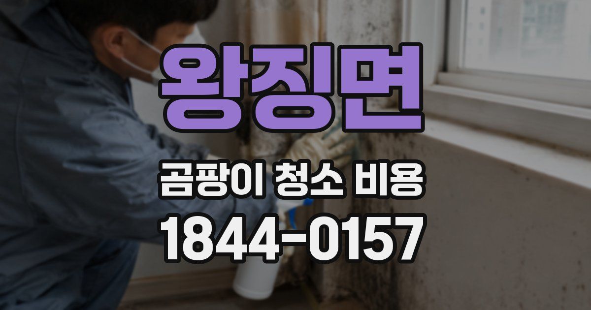 왕징면 곰팡이 청소 비용