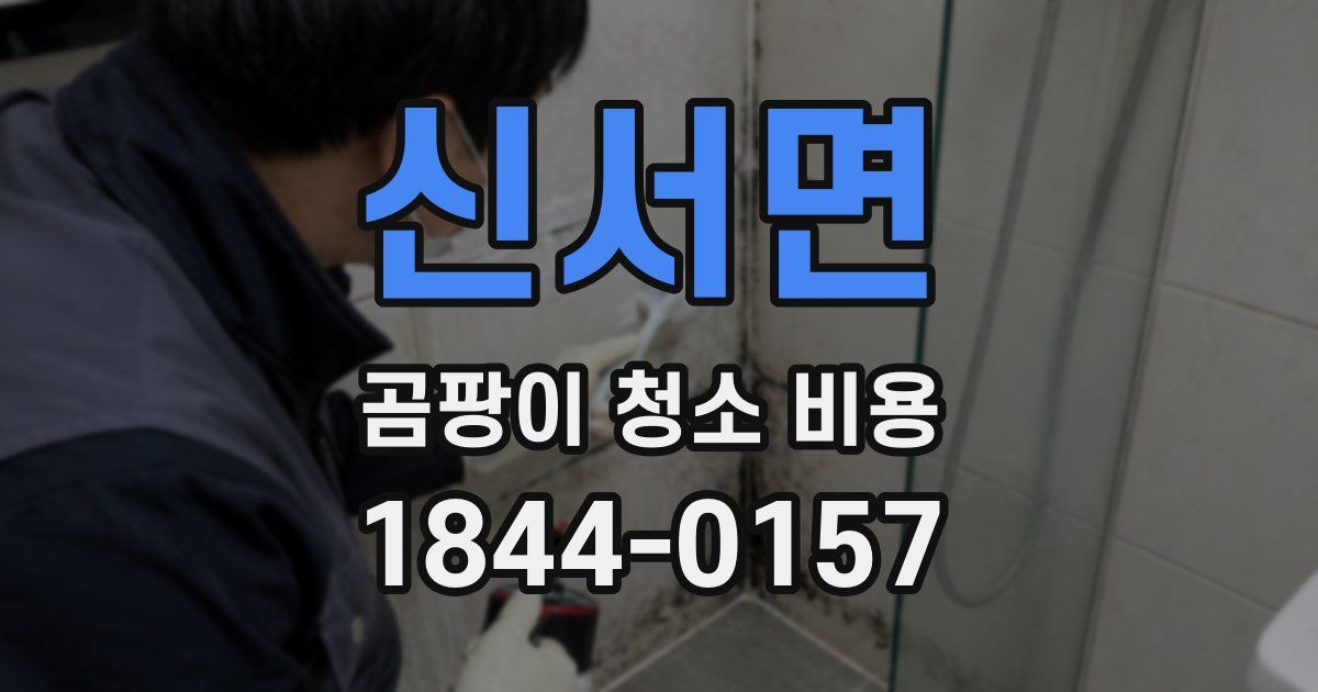 신서면 곰팡이 청소 비용