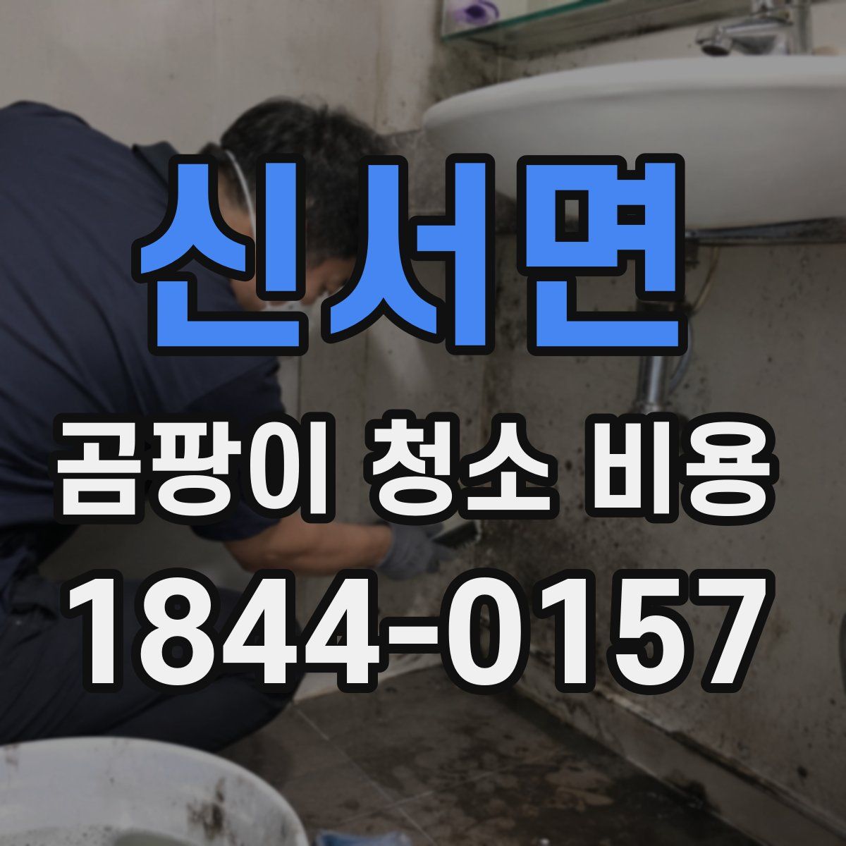 신서면 곰팡이 청소 비용