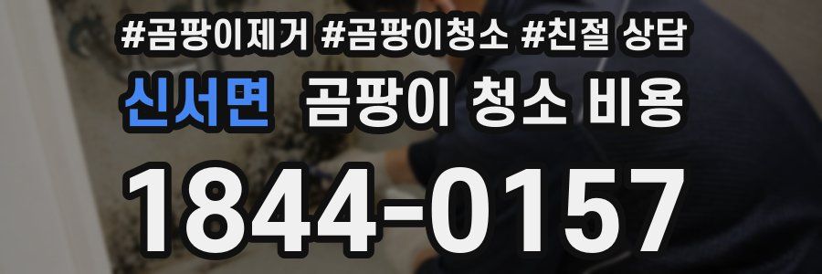 신서면 곰팡이 청소 비용