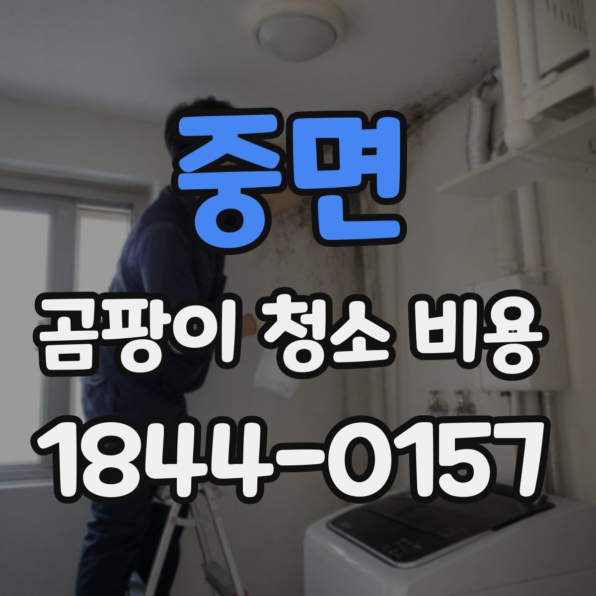 중면 곰팡이 청소 비용