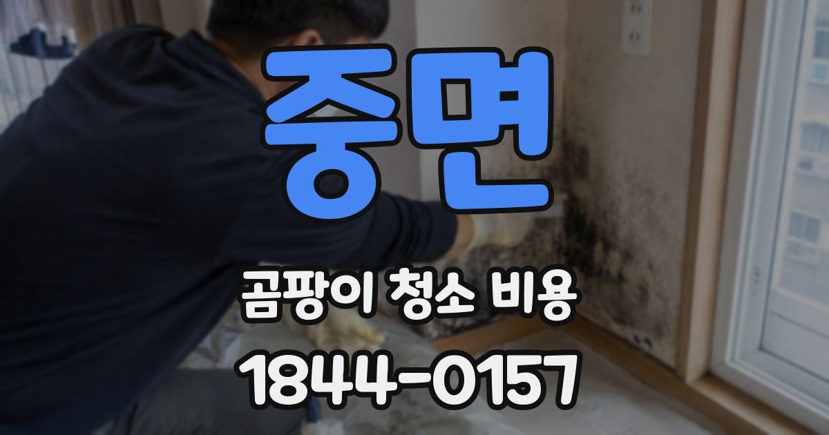 중면 곰팡이 청소 비용