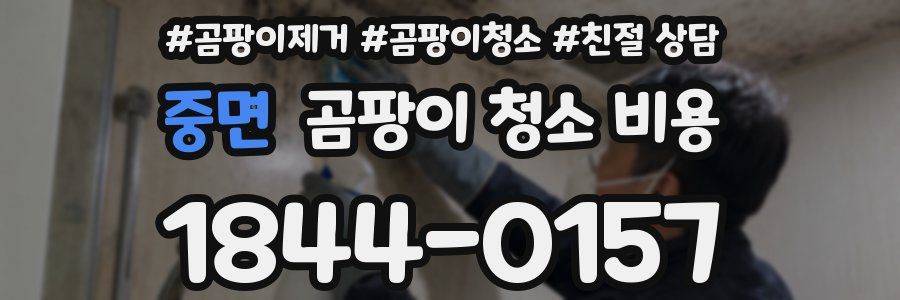 중면 곰팡이 청소 비용