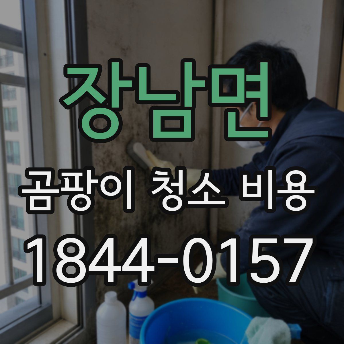 장남면 곰팡이 청소 비용