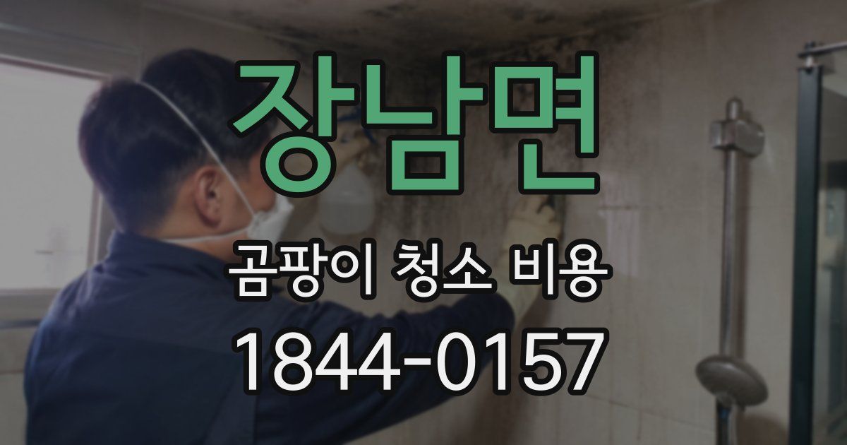 장남면 곰팡이 청소 비용