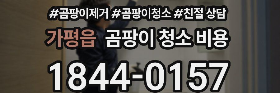 가평읍 곰팡이 청소 비용
