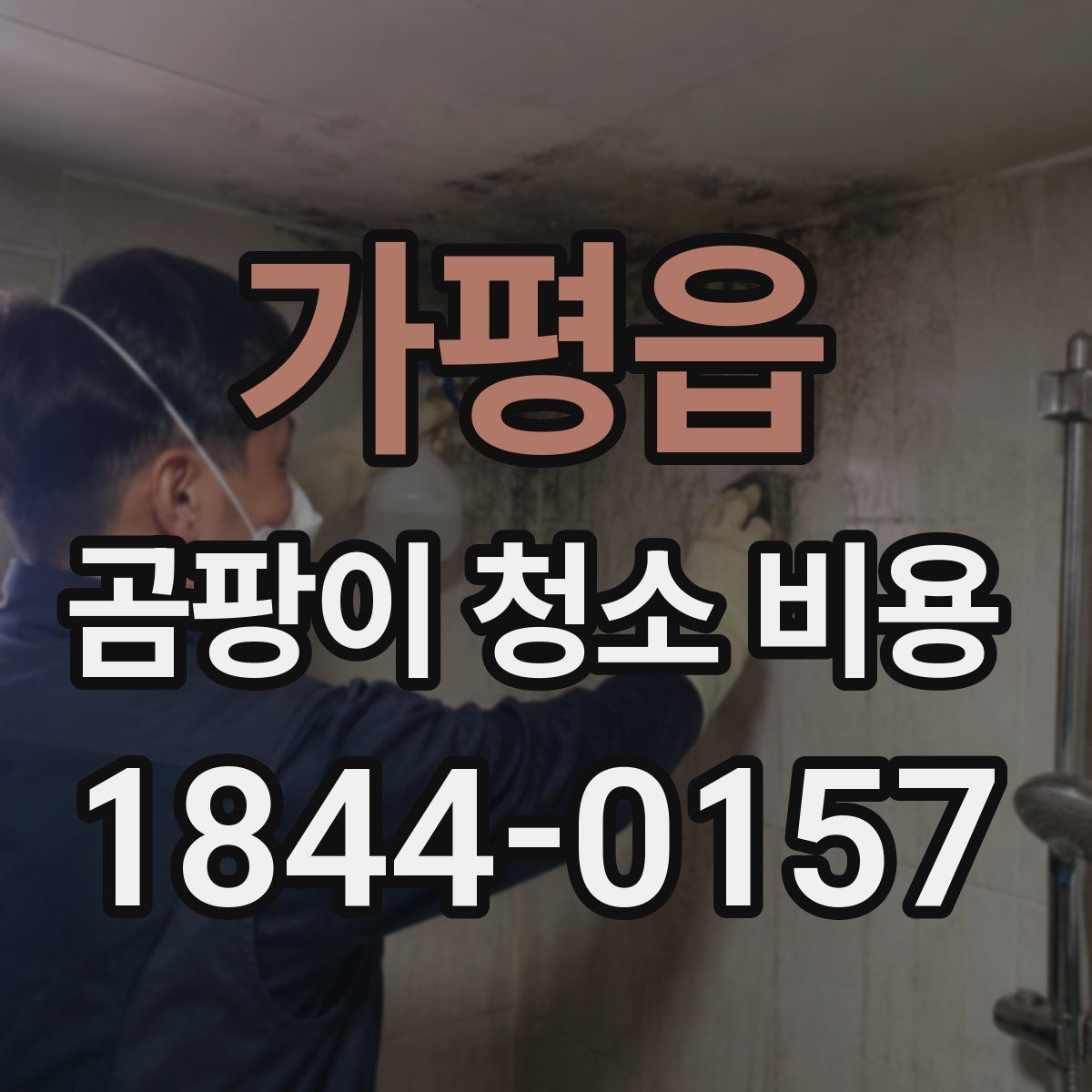 가평읍 곰팡이 청소 비용