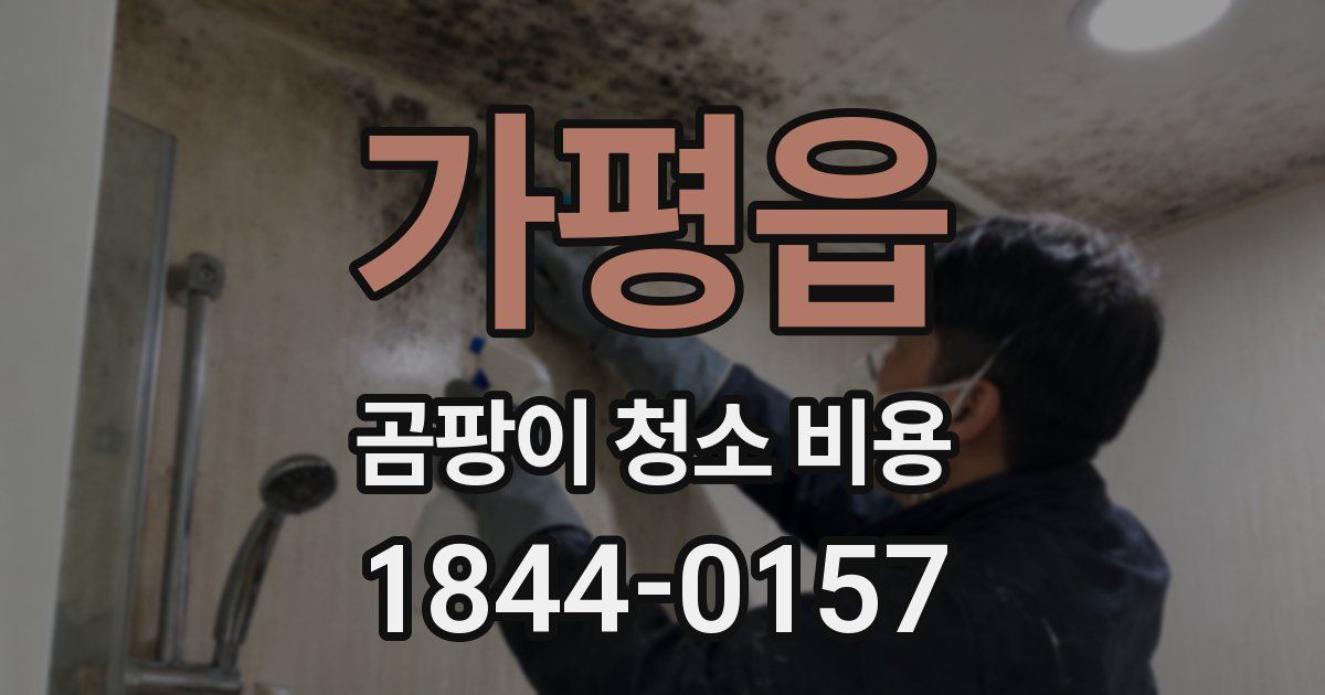 가평읍 곰팡이 청소 비용
