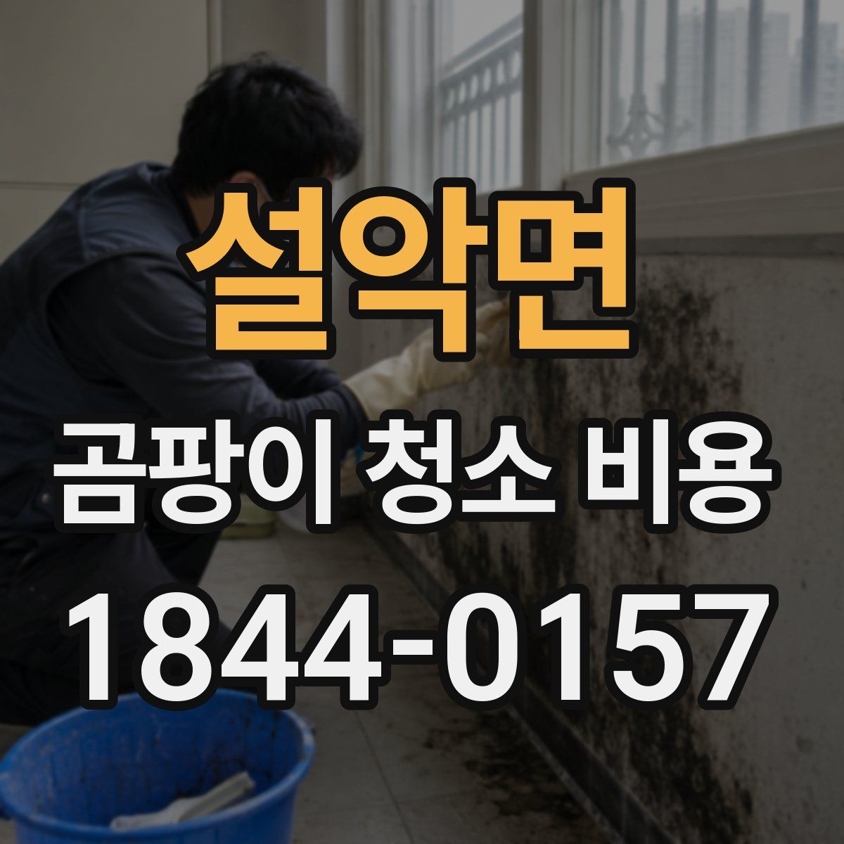 설악면 곰팡이 청소 비용
