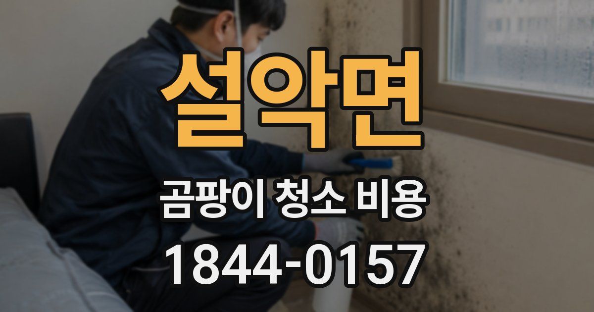 설악면 곰팡이 청소 비용
