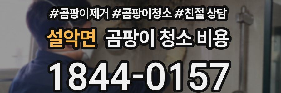 설악면 곰팡이 청소 비용