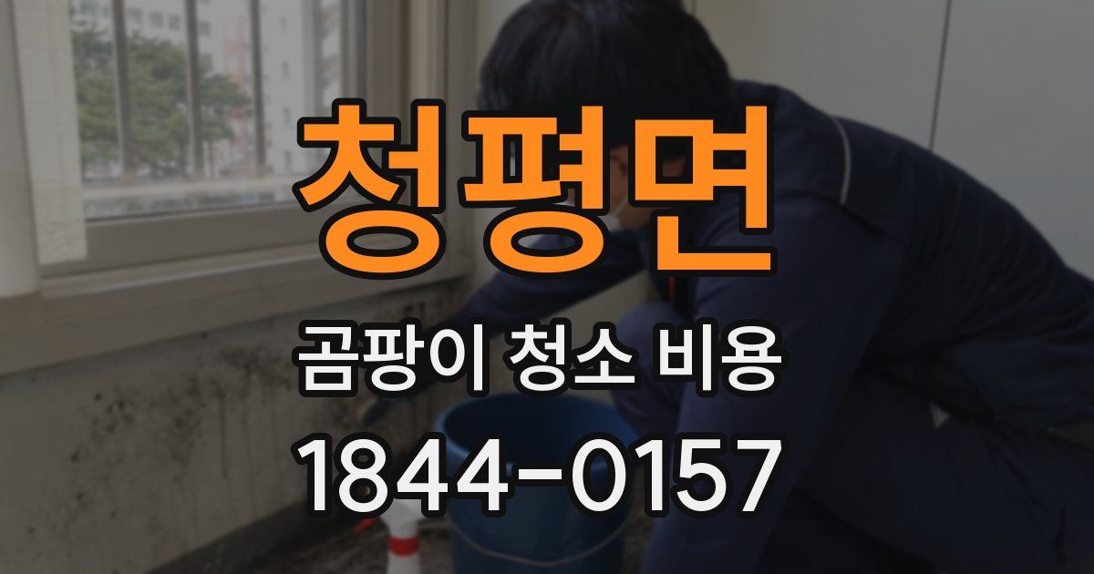 청평면 곰팡이 청소 비용