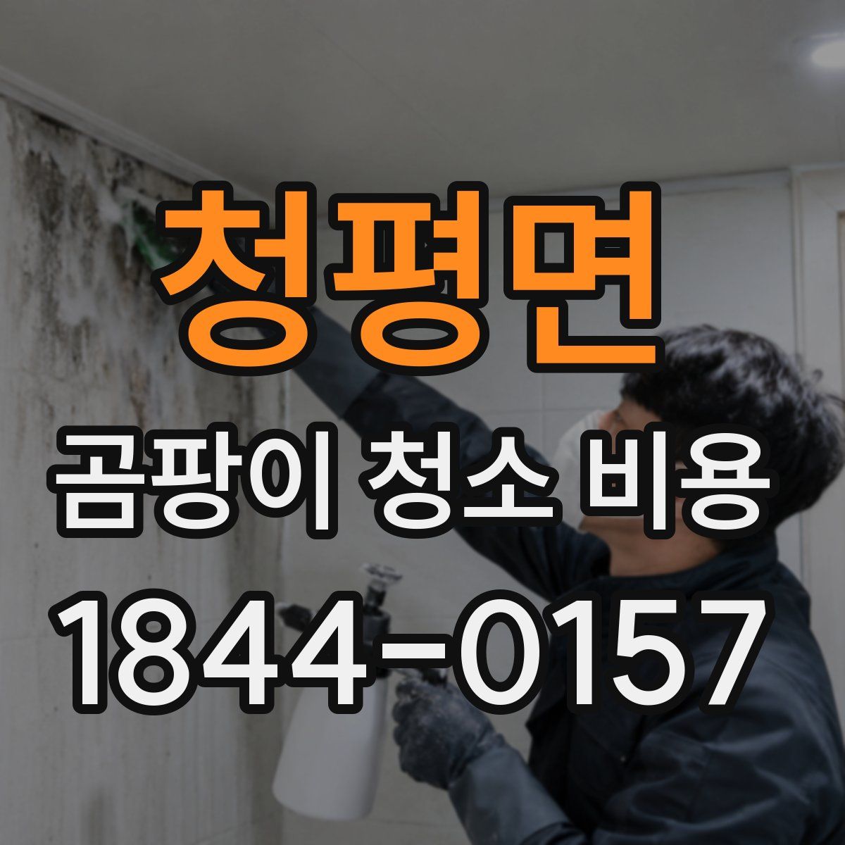 청평면 곰팡이 청소 비용