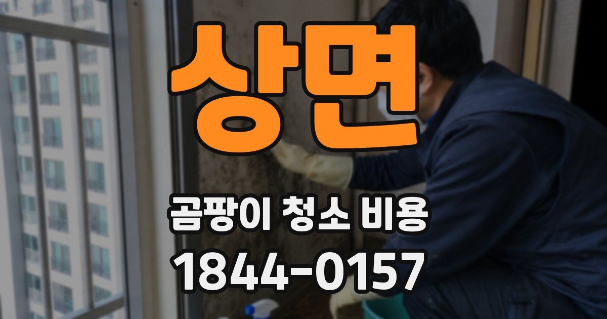 상면 곰팡이 청소 비용