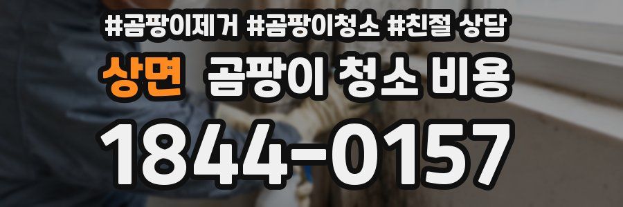 상면 곰팡이 청소 비용
