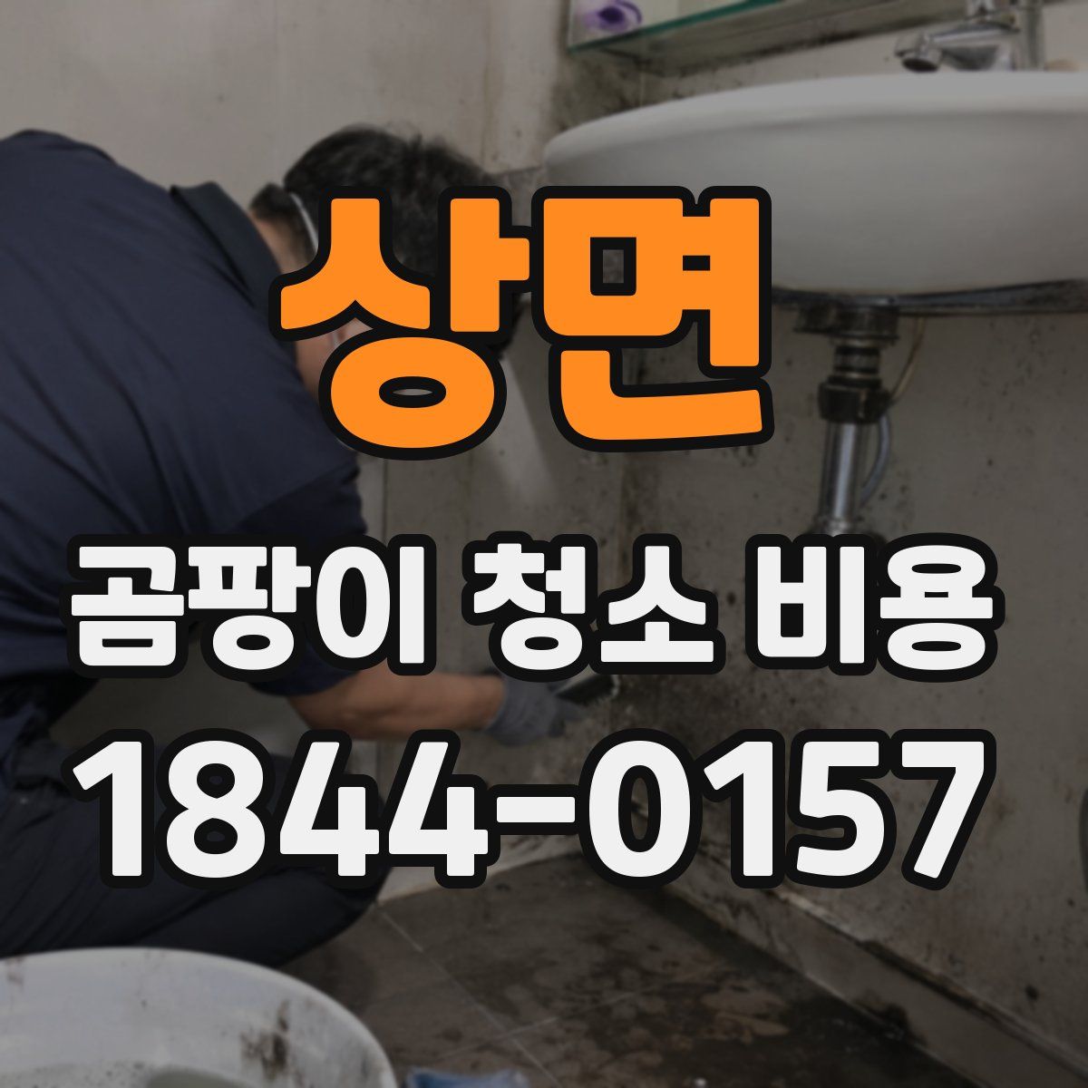 상면 곰팡이 청소 비용