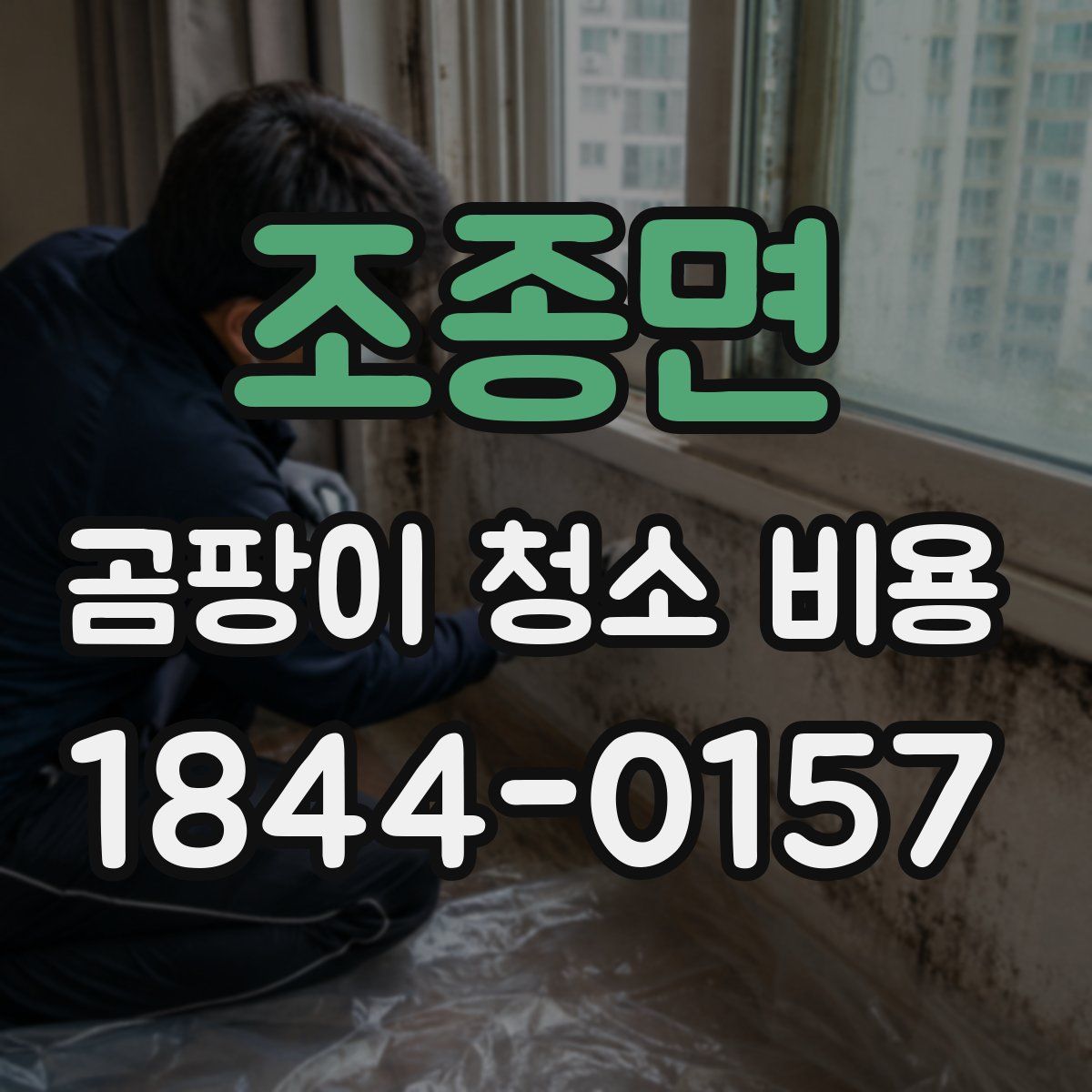 조종면 곰팡이 청소 비용