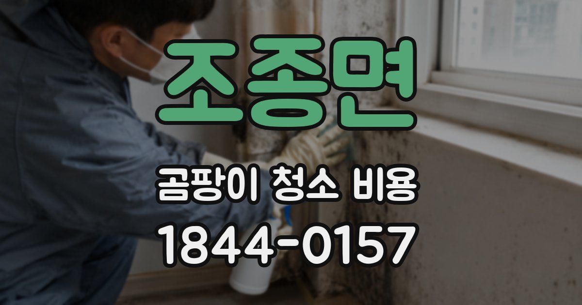 조종면 곰팡이 청소 비용