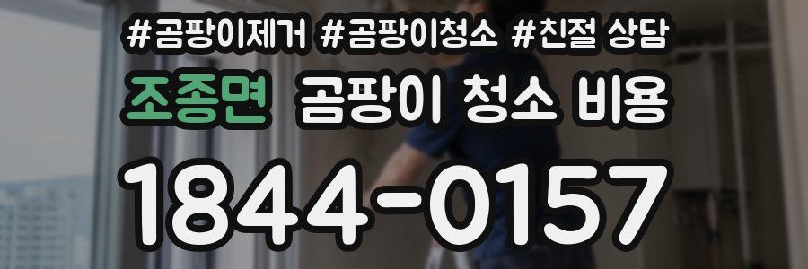 조종면 곰팡이 청소 비용