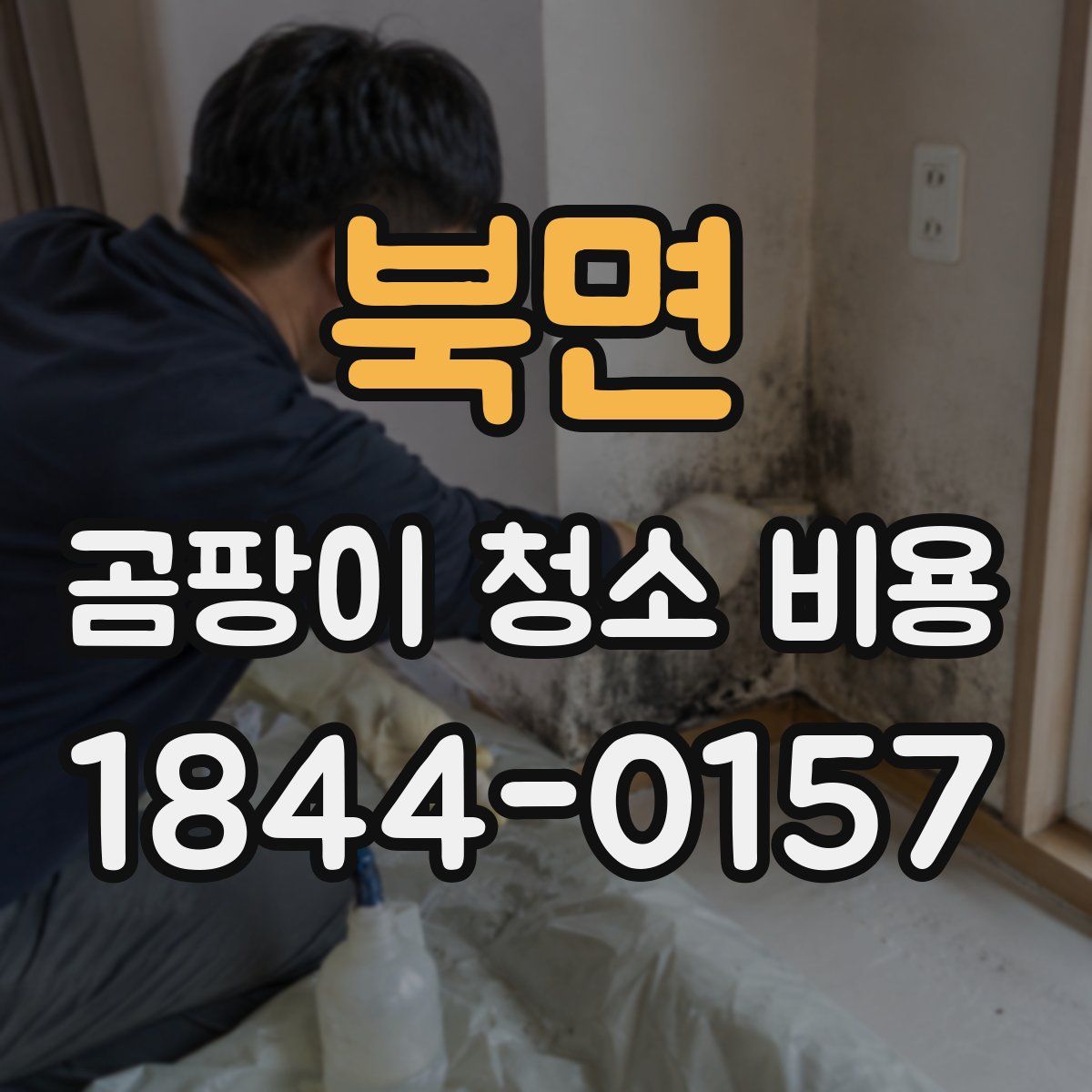 북면 곰팡이 청소 비용