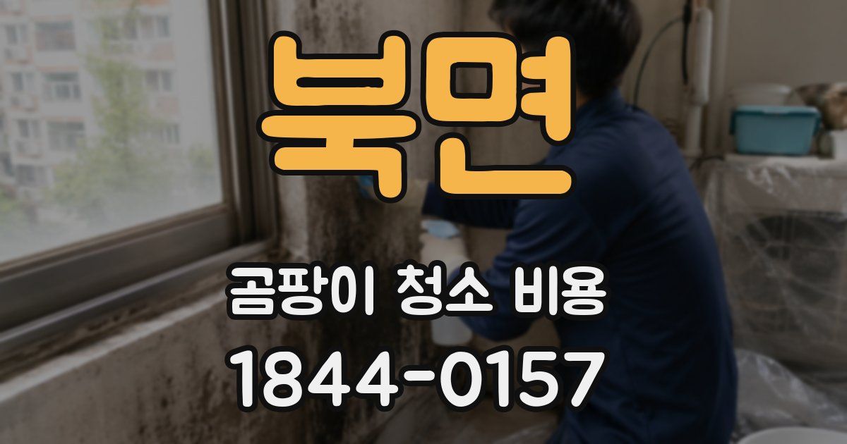 북면 곰팡이 청소 비용
