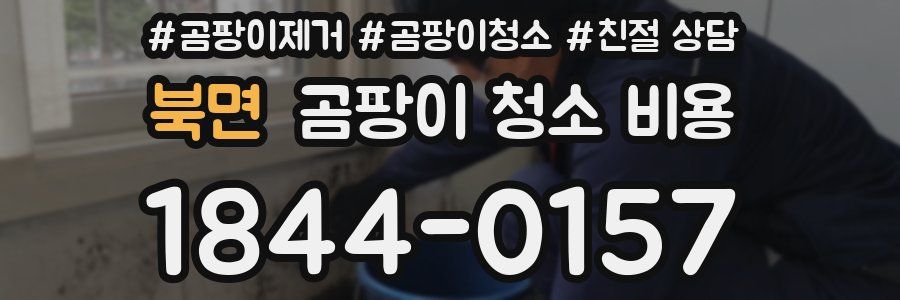 북면 곰팡이 청소 비용