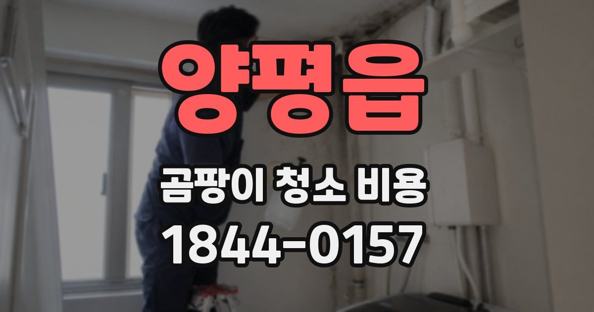 양평읍 곰팡이 청소 비용
