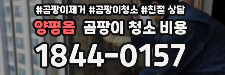 양평읍 곰팡이 청소 비용