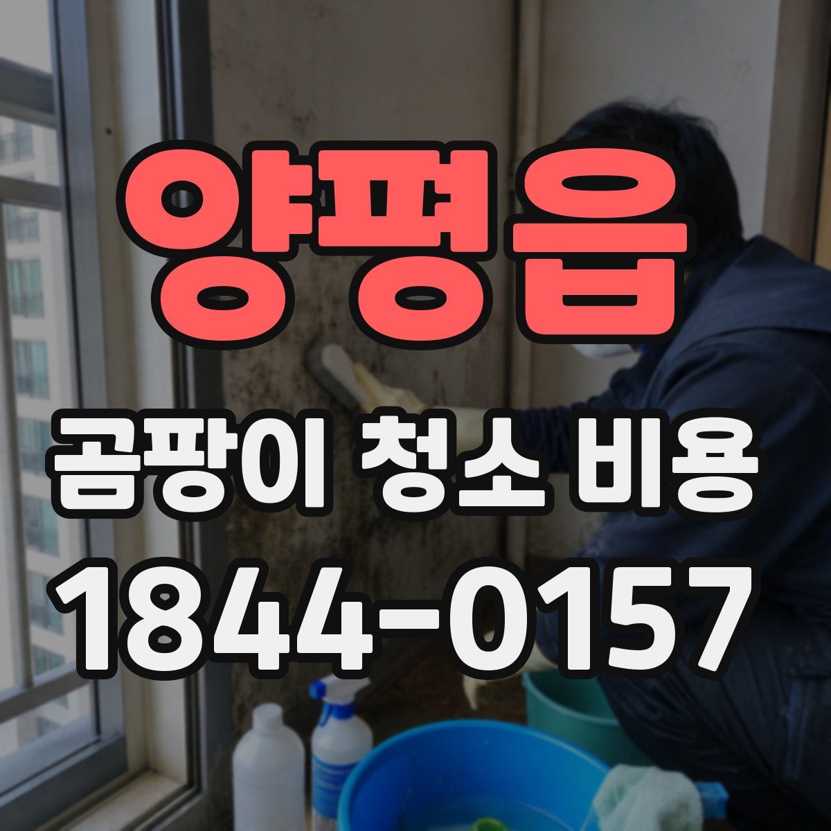 양평읍 곰팡이 청소 비용