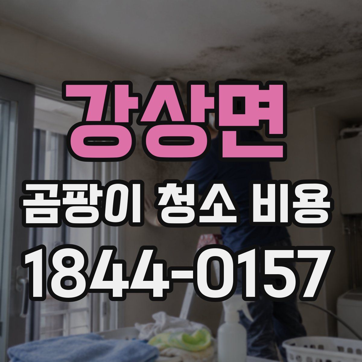 강상면 곰팡이 청소 비용