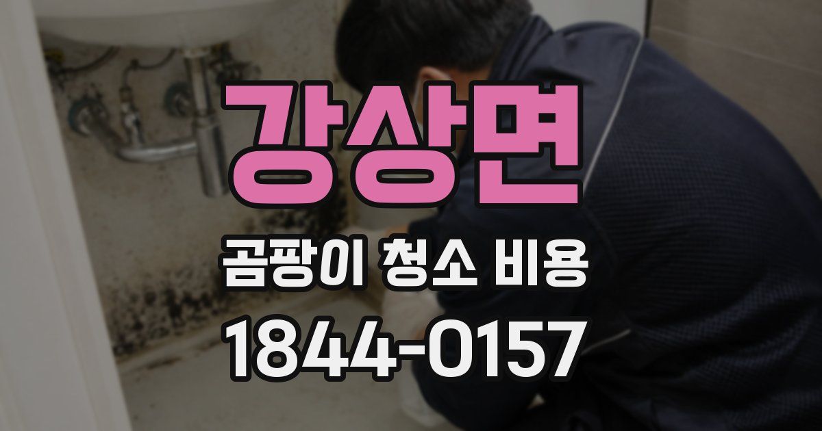 강상면 곰팡이 청소 비용