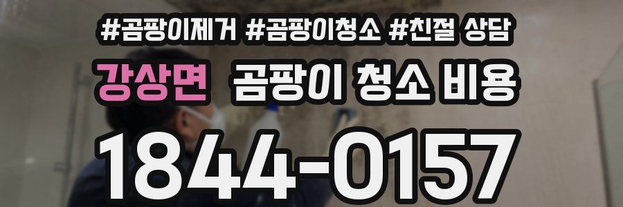 강상면 곰팡이 청소 비용