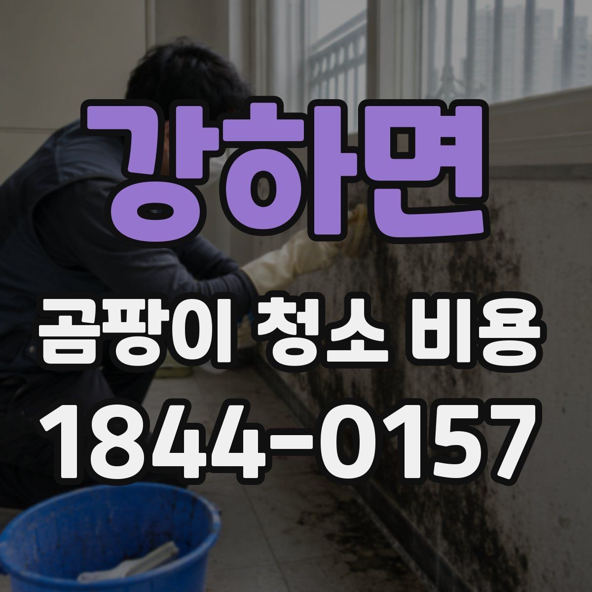 강하면 곰팡이 청소 비용 비교 시 계약 전 체크사항