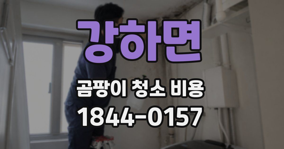강하면 곰팡이 청소 비용