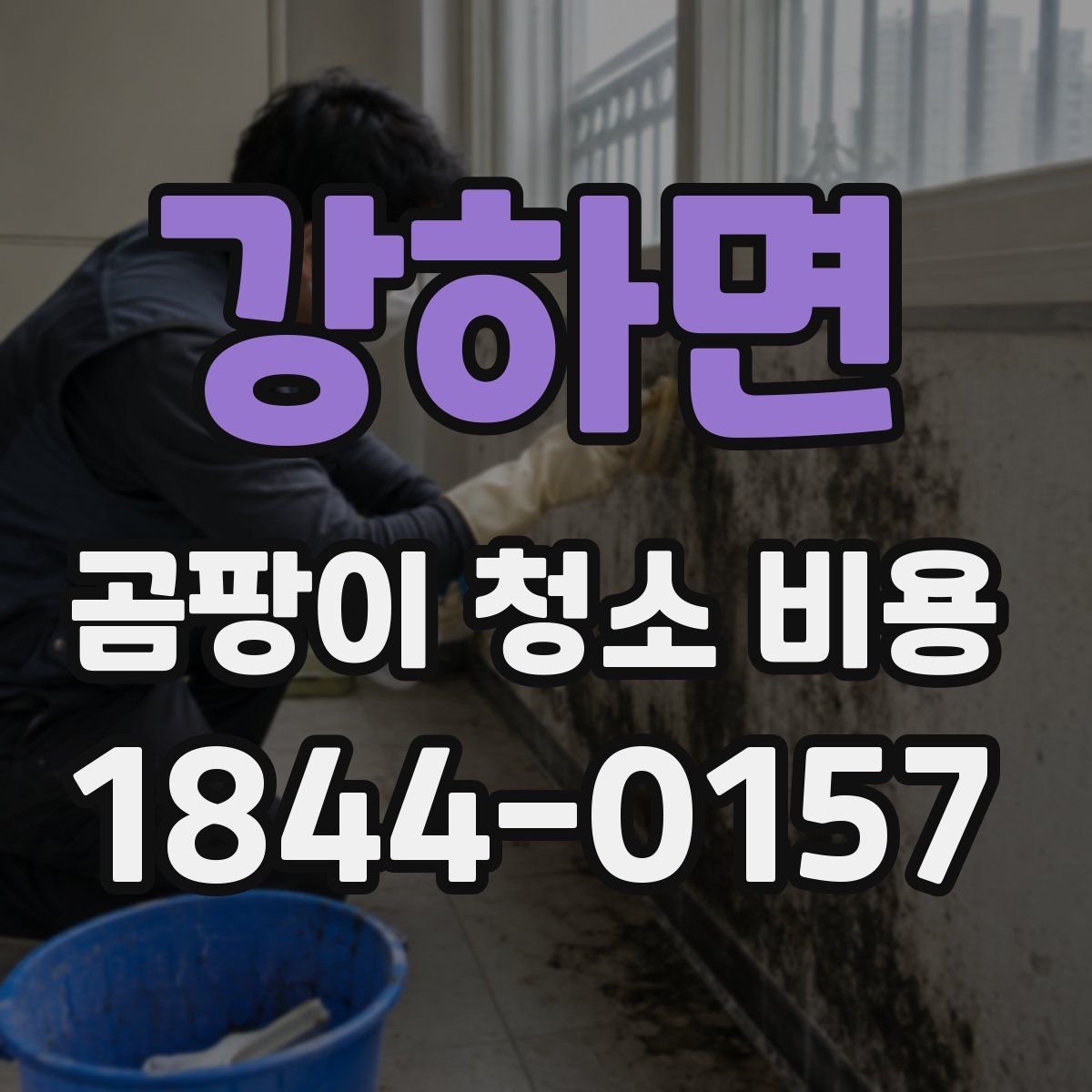 강하면 곰팡이 청소 비용