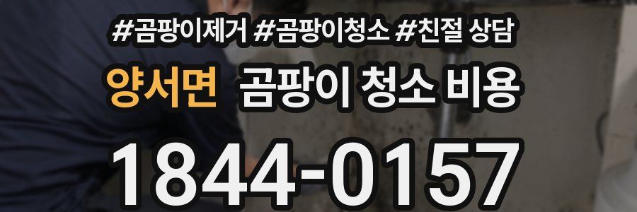 양서면 곰팡이 청소 비용