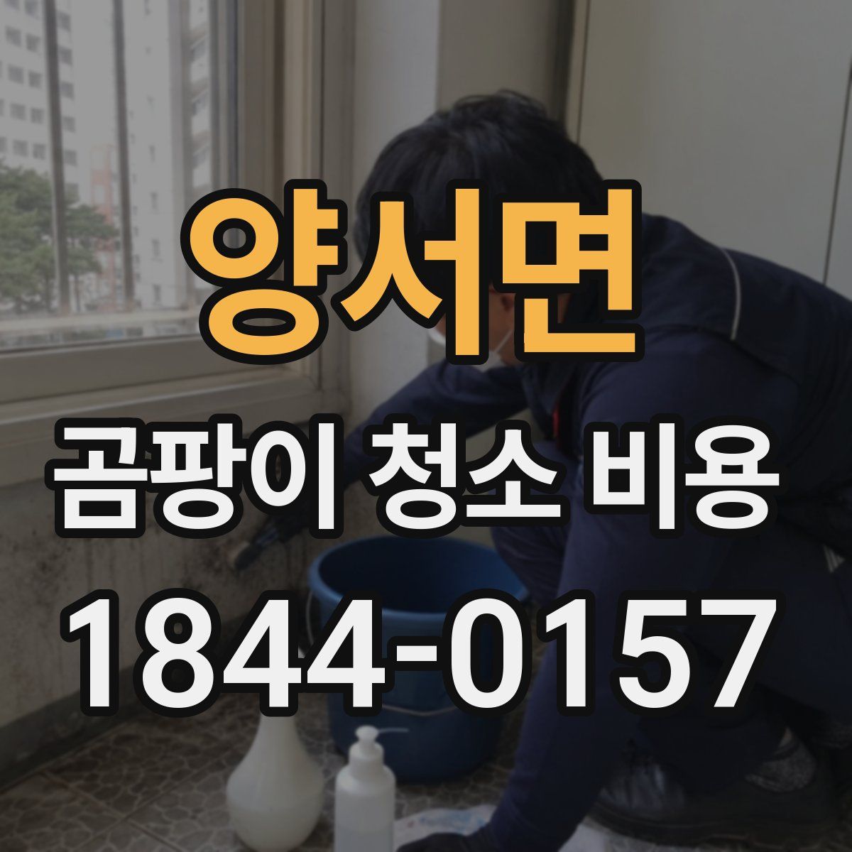 양서면 곰팡이 청소 비용