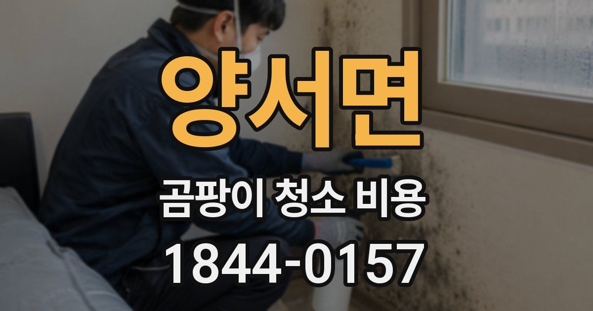 양서면 곰팡이 청소 비용