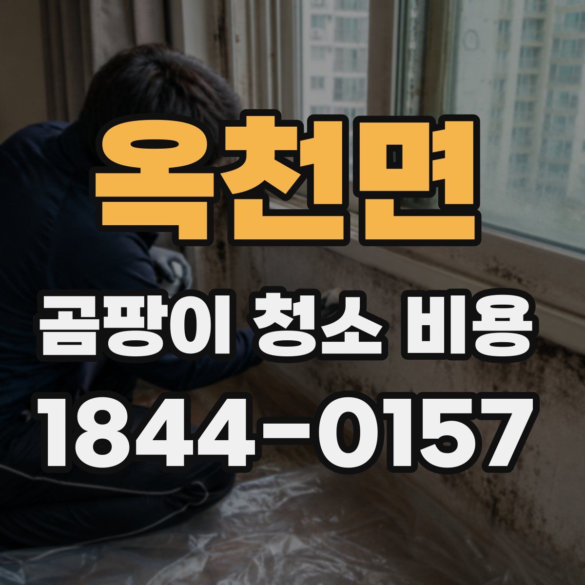 옥천면 곰팡이 청소 비용