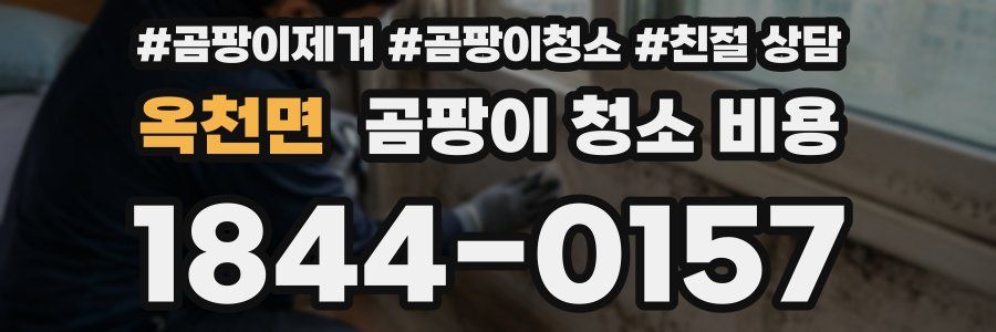 옥천면 곰팡이 청소 비용