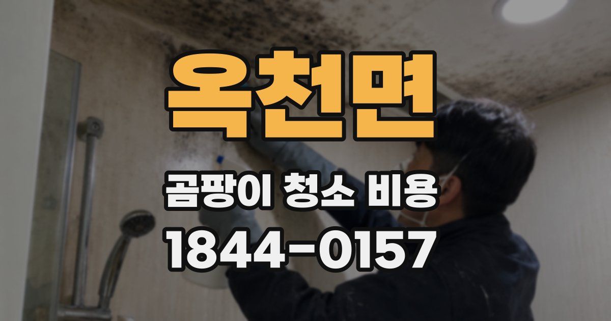 옥천면 곰팡이 청소 비용