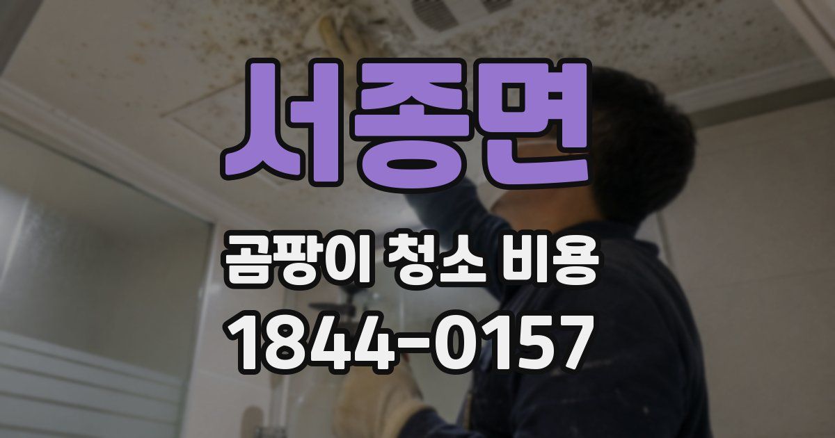 서종면 곰팡이 청소 비용